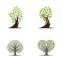 Tree logo images design vector