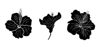 Hibiscus flower silhouette set. Isoalted on white background. vector