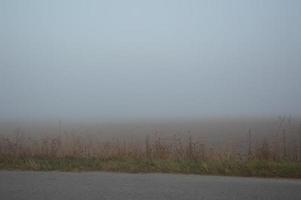 Morning fog and haze in the forest and village photo