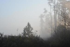 niebla matutina y neblina en el bosque y el pueblo foto