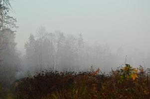 niebla matutina y neblina en el bosque y el pueblo foto