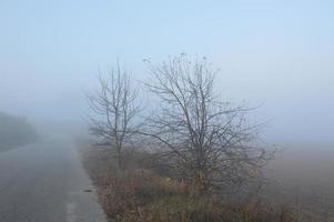 Morning fog and haze in the forest and village photo