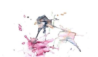Watercolor illustrations drawn paints on white paper background photo