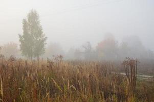 Morning fog and haze in the forest and village photo