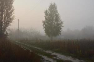 niebla matutina y neblina en el bosque y el pueblo foto