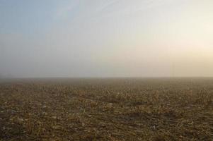 Morning fog and haze in the forest and village photo