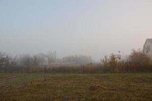 Morning fog and haze in the forest and village photo