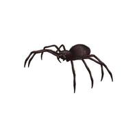 insectos realista araña peligro veneno horror venenoso conjunto de símbolos negros