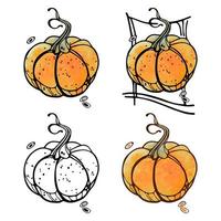 Pumpkin Watercolor Hand Drawn Illustration. Doodle Outline Vector pumpkin for Thanksgiving day and Halloween greeting card. For Poster, design invitation, postcard, banner