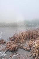 Winter forest and frozen lake sunset. Panoramic landscape with snowy trees, sun, beautiful frozen river with reflection in water. Cold winter landscape artistic foggy morning sunlight. Seasonal nature photo