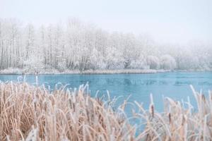 Winter forest on the river at sunset. Panoramic landscape with snowy trees, sun, beautiful frozen river with reflection in water. Seasonal. Winter trees, lake and blue sky. Frosty snowy river. Weather photo