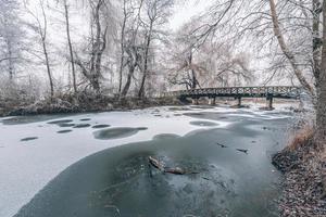 Winter scene at the botanical garden, showing a bridge over frozen water and trees covered with fresh snow photo