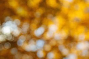 Bokeh from yellow leaves. Blurred autumn background. photo