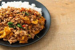 stir-fried minced pork with basil and egg topped on rice photo