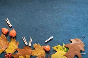 Flat lay autumn orange leaves and physalis on a dark background photo