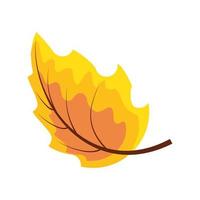 dry leaf autumn vector