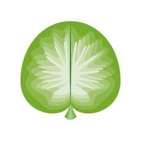 leaf round shape vector