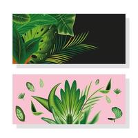 leaves foliage banners vector