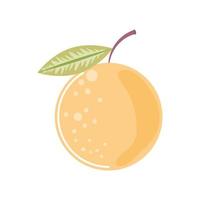 orange fresh fruit icon isolated style vector