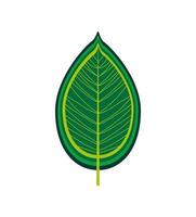 green leaf foliage vector