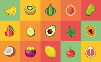 diferentes frutas tropicales vector