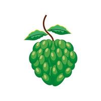 fruit custard apple vector