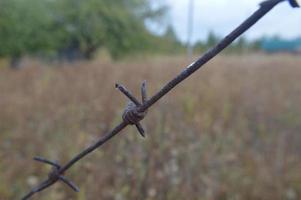 Barbed wire stretched on a fence for security photo