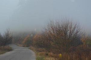 Morning fog and haze in the forest and village photo