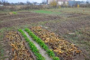 jardín preparado para plantas y árboles de invierno foto