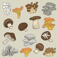 Doodle freehand sketch drawing collection of mushroom vegetable. vector