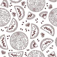 Vector hand drawn fruit watermelon. Seamless pattern.