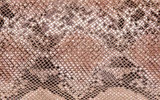 Snake skin pattern photo