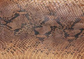 Snake skin pattern photo