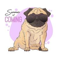 Hand drawn portrait of the pug dog in cute glasses Vector. vector