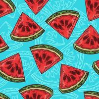 Vector hand drawn fruit watermelon. Seamless pattern.