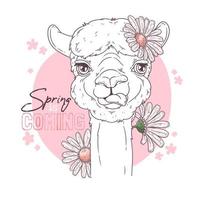 Hand drawn portrait of cute alpaca Vector. vector