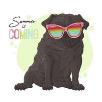 Hand drawn portrait of the pug dog in cute glasses Vector. vector