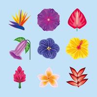 tropical exotic flowers vector