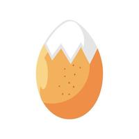 boiled egg fresh vector