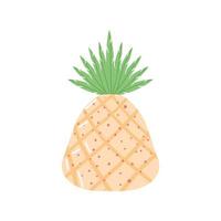 piña de frutas tropicales vector