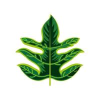 tropical palm leaf vector