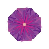 purple flower nature vector