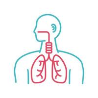 sistema respiratorio humano vector