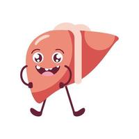 cute liver organ vector