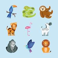 tropical animals set vector