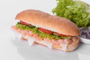 Delicious fresh sandwich grill with a bun, cheese and meat photo