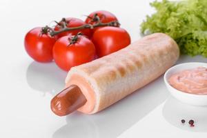 Delicious fresh French hot dog grill with a bun, dairy sausage and sauce photo