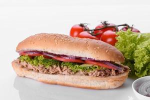 Delicious fresh sandwich grill with a bun, cheese and meat photo