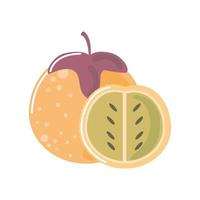 exotic fresh fruit icon isolated style vector