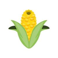 corn cob food vector